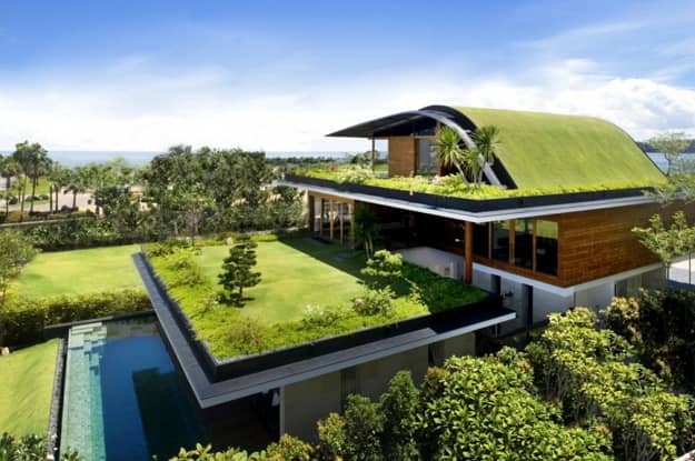 Zelená vegetačná strecha
